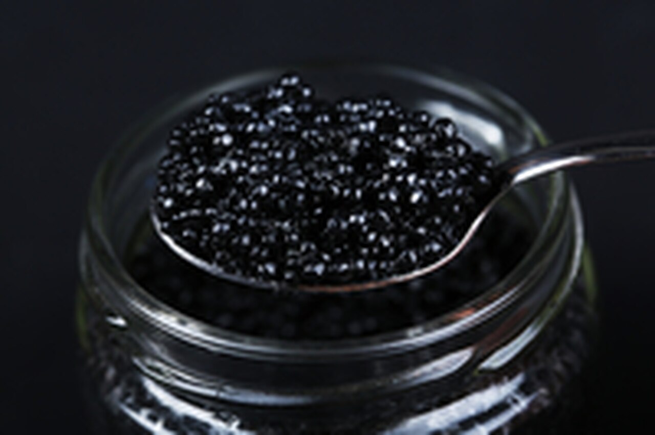 Where Caviar Originated from: The History of Caviar