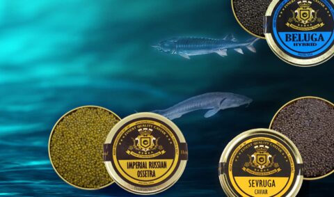 What is Fish roe and what is the difference with Caviar?