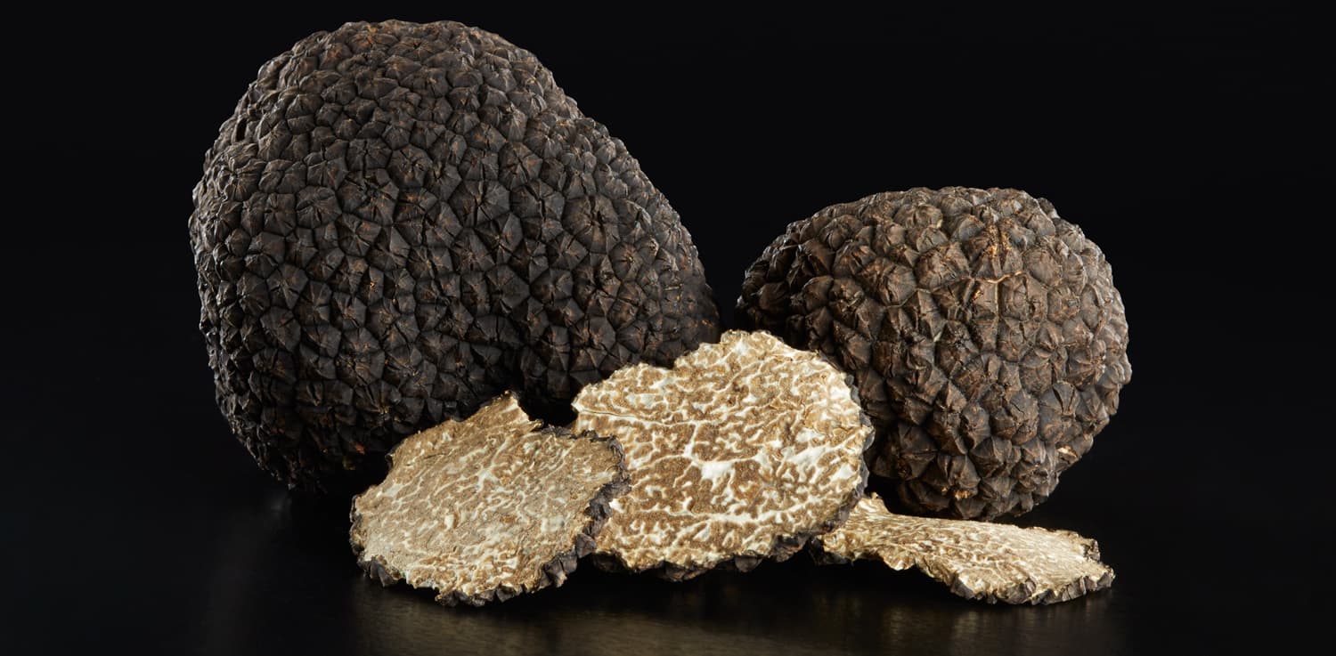 Truffe noire uncinatum fraîche